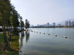 -飞来湖湿地公园