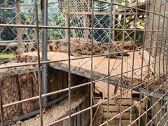 -呀路古热带植物园