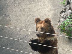 -成都动物园
