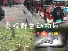 -西安秦岭野生动物园
