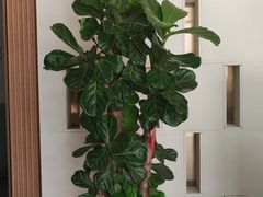 -北国饭店.海鲜.北方菜(新河路店)