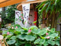 -田园印象·成都土菜院子(华阳店)