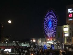 -台场海滨公园船码头