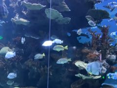 -多彩贵州城极地海洋世界