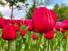 -长春公园(普阳街道)