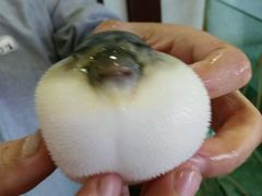 -观桥阁(锦溪店)