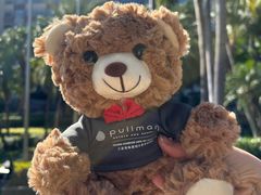 -三亚湾海居雅高铂尔曼度假酒店