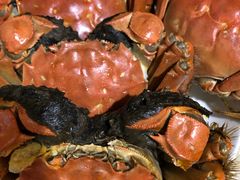 -布吉佳兆业广场