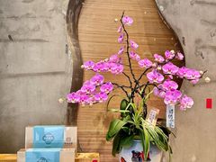 -若蘭慈·无国界素食料理(欢乐海岸店)