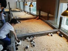 -姑苏二十四集(iD PARK 歌林公园店)