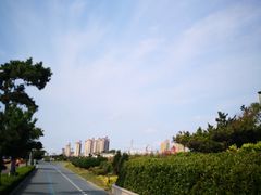 -琴岛之星摩天轮