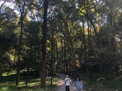 -九曜山