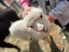 -山西乌金山旅游区