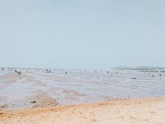 -仙人岛