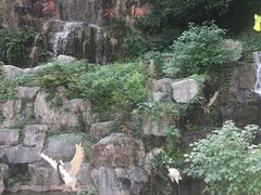 洞天福境-陶祖圣境风景区