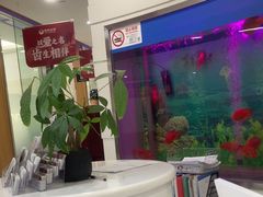 -雅悦齿科(顾村公园店)