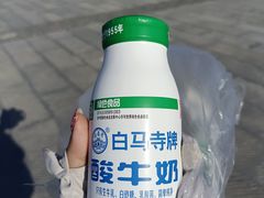 -洛阳白马寺