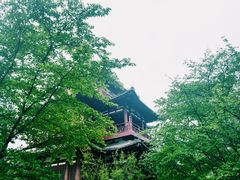 -西安青龙寺遗址景区
