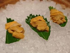 -月龍吟(朝龙汇店)