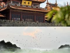-碧海金沙
