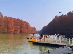 -上海海湾国家森林公园