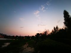 -洛龙公园
