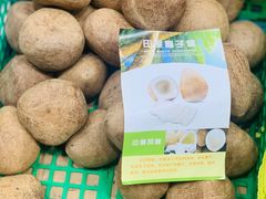 -西双版纳傣族园