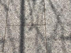 -嘉北郊野公园