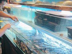 -喜庭海鲜自助(来福士店)