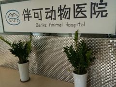 -美联众合动物医院·伴可分院·内科中心医院