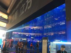 -成都浩海立方海洋公园