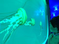 -多彩贵州城极地海洋世界