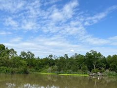 -桤木河湿地公园