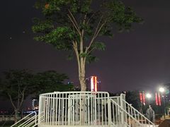 -华侨公园