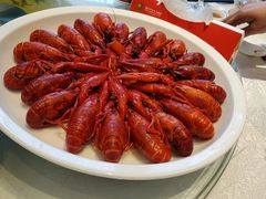 -新日月育才大酒店-中餐厅(环城北路店)