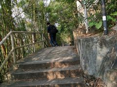 -大埔公路-马料水段香港中文大学(公交站)