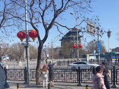 -面爱面 - 老北京炸酱面(前门店)