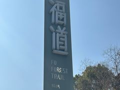 -福道