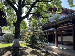 -美兰湖景区