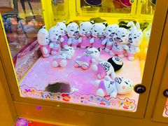 -汤姆熊欢乐世界(大连恒隆广场店)