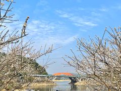 -广州市流溪河国家森林公园