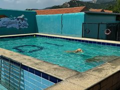 -趣玩宠物乐园寄养训犬训狗游泳池