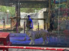 -清迈夜间动物园