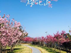 -福建鲤鱼洲酒店