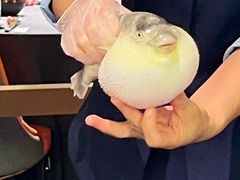 -肆月河豚·淮扬菜·湘菜(华天店)