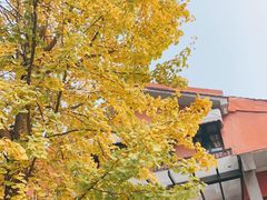 -翠园十八号庭院餐厅