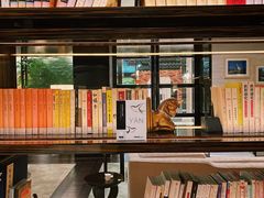 -行者书屋大堂吧 ·下午茶(南京圣和府邸酒店)