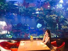 -迪拜帆船酒店海底餐厅