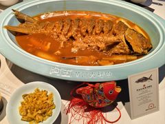 -阿五黄河大鲤鱼(英协路店)
