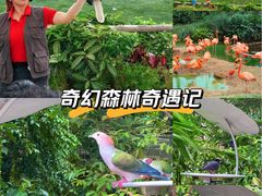 -新加坡飞禽公园